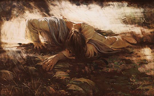 fbf107b4df238b225b0d3efb65d85fa9