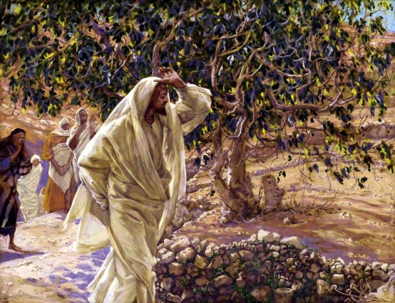 Jesus Curses the Fig Tree